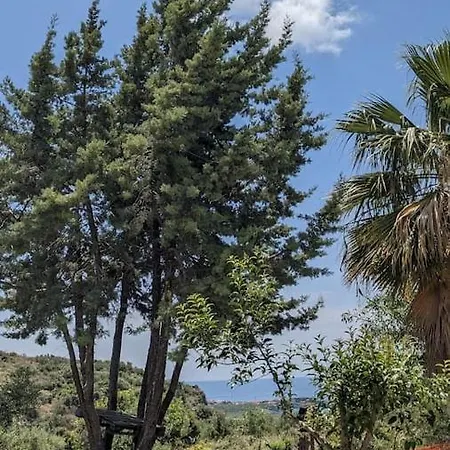 4 Seasons 1 * Neokhorion (Messenia)