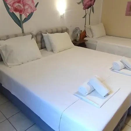 4 Seasons 1 Neokhorion (Messenia)