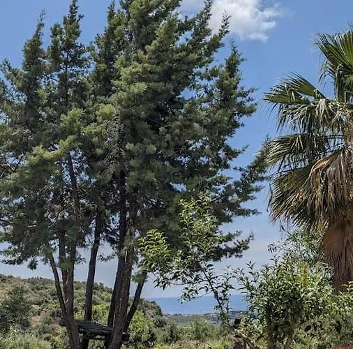 4 Seasons 1 * Neokhorion (Messenia)