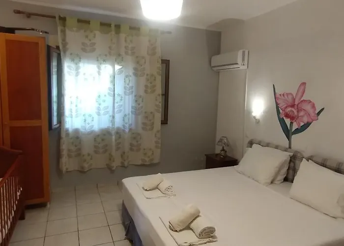 4 Seasons 1 Neokhorion (Messenia)