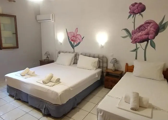 4 Seasons 1 * Neokhorion (Messenia)